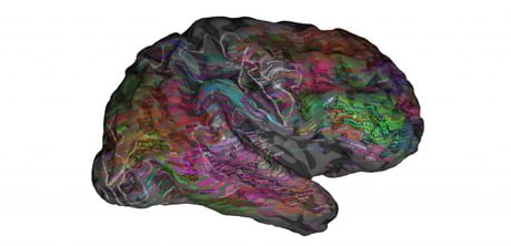 Una mappa cerebrale completa del sistema semantico