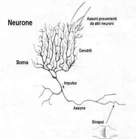 modello-neurale-di-Hopfield