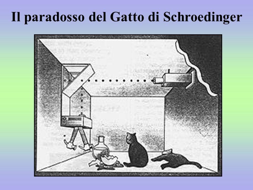 Il paradosso del gatto di Schrödinger si è appena fatto molto più complicato