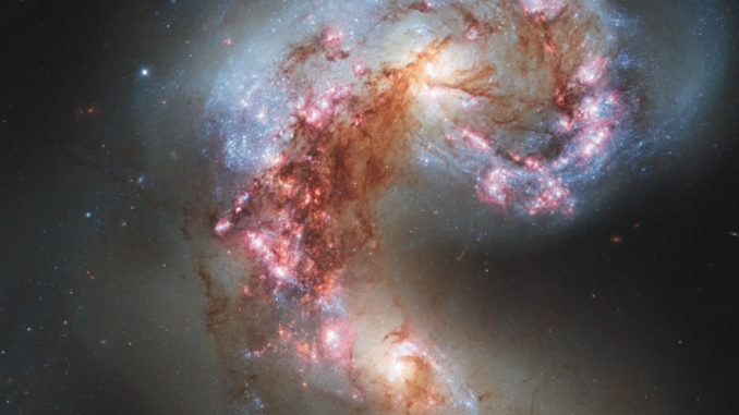 Le galassie Antenne riprese dal telescopio spaziale americano Hubble (foto Nasa/Esa/Hubble Heritage Team)