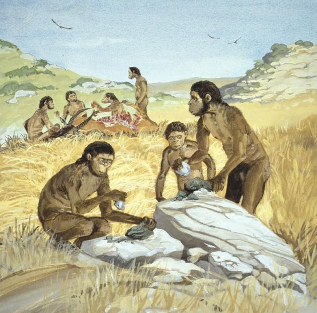 Le diete carnivore dei primi Homo