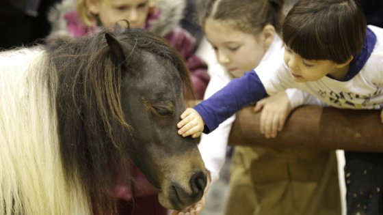 Esseri umani e cavalli: il cuore batte all'unisono