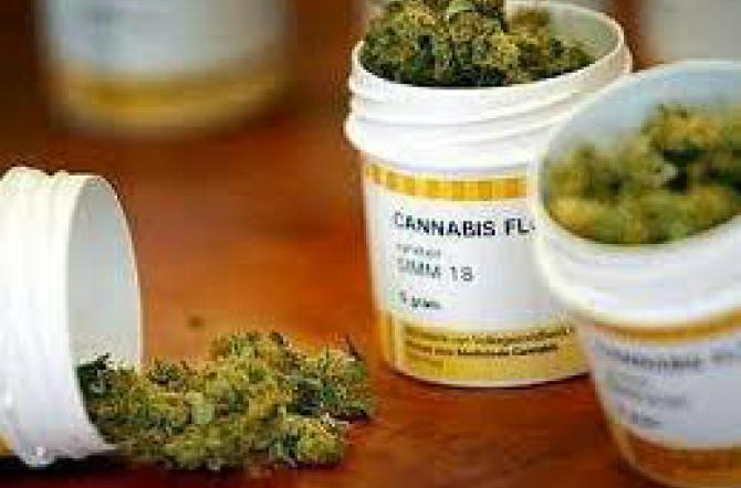 Cannabis di Stato, il primo farmacista che la venderà: "Prezzi più bassi di quella olandese"