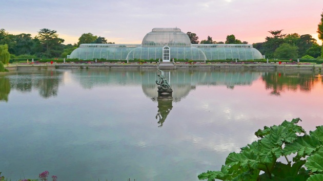 Un padiglione dei Kew Gardens, appena fuori Londra: il loro report annuale sullo "stato delle piante" rileva quanto poco è diffusa, a livello ufficiale, la conoscenza delle proprietà medicali di molte piante e del rischio concreto di perdere parte di questo patrimonio naturale.