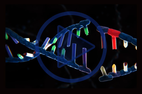 Attenti al DNA fai da te Crispr, ha effetti collaterali