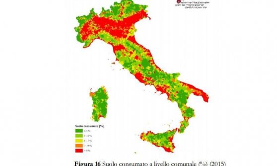 Record di fiori e di temperature: i due volti dell'ambiente italiano