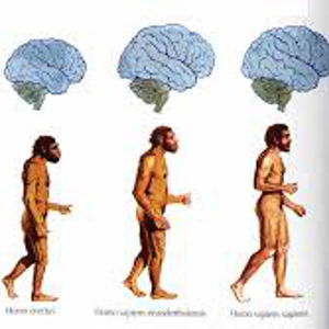 Il salto della conoscenza nell'evoluzione umana