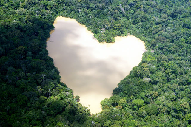 WWF Brasile salva l'Amazzonia dallo sfruttamento minerario