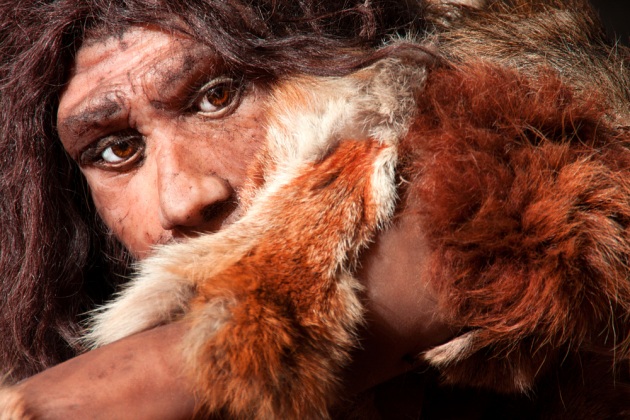 Ricostruzione di un Neanderthal: testa grossa, perciò "cervello grosso", ma si sono estinti.|SHUTTERSTOCK
