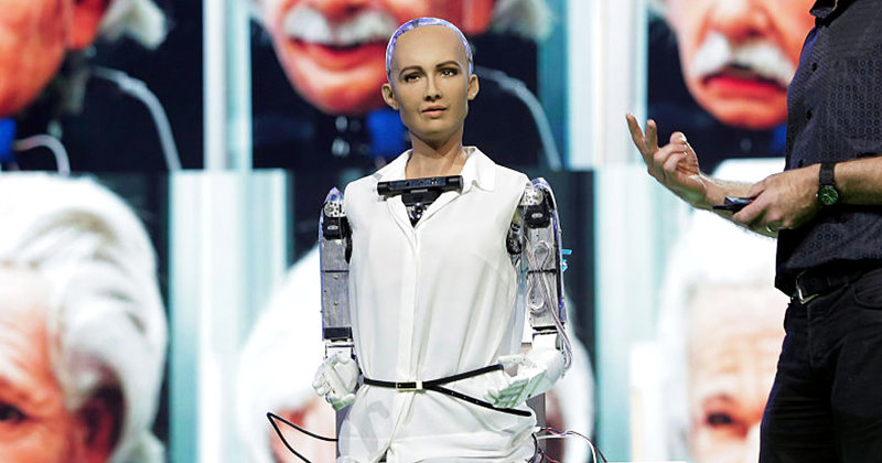 I robot saranno i nuovi competitor nella lotta alla sopravvivenza evolutiva?