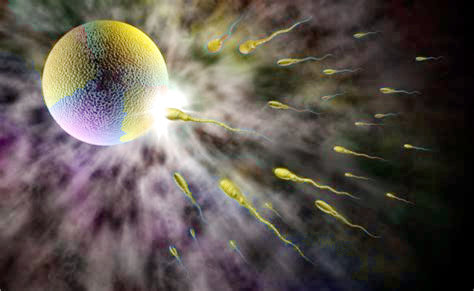 Svelato il segreto della mobilità degli spermatozoi