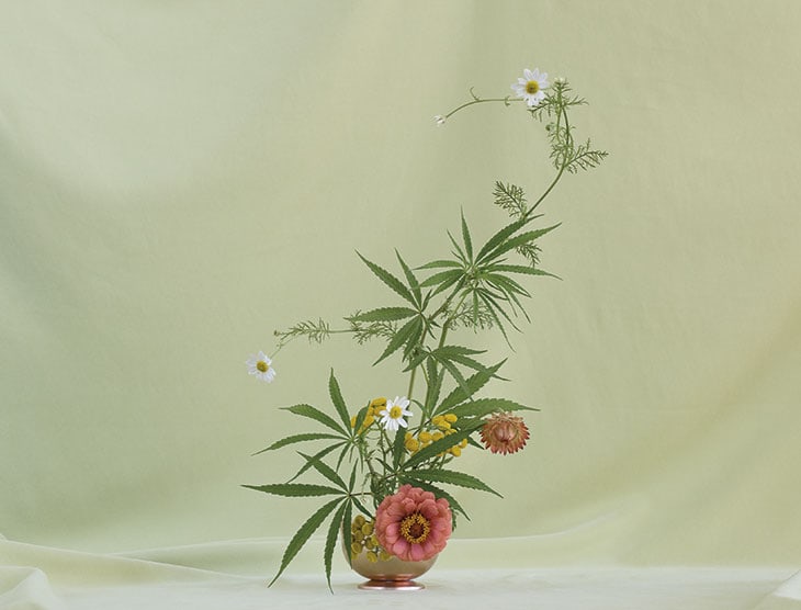 Flower arrangement di Amy Merrick