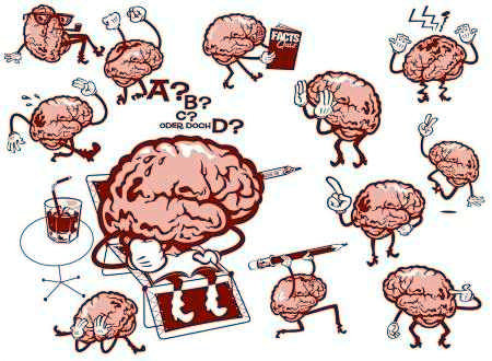 Nell'apprendere il cervello si adatta autonomamente