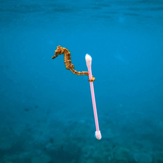 Marea di plastica: la nostra spazzatura in mare. | JUSTIN HOFMAN INSTAGRAM