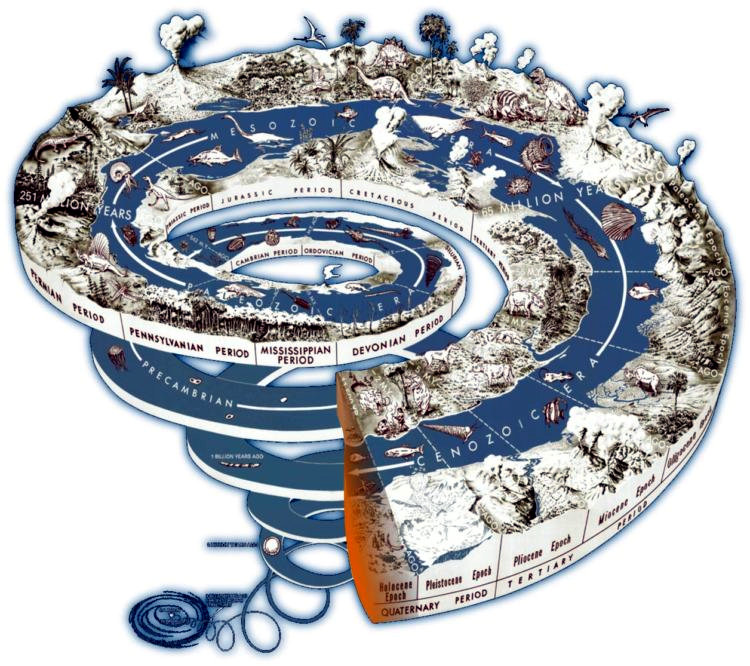 Dopo l'Olocene siamo entrati nell'era geologica Meghalayan