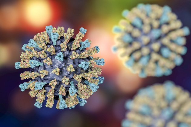 Il virus del morbillo in un'illustrazione scientifica.|Shutterstock