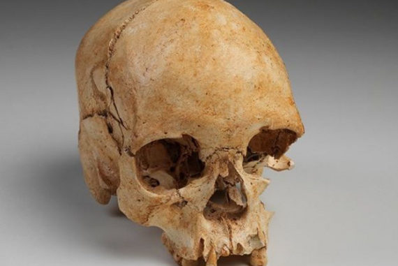 Il cranio di Luzia: il fossile è stato distrutto dalle fiamme. | National Museum