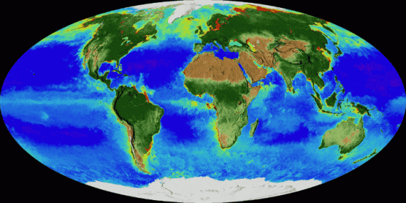 L'animazione della NASA riassume 20 anni (1997-2017) di osservazione della vegetazione sulla superficie e negli oceani terrestri. Sembra di vedere il pianeta "respirare" (clicca per attivare l'animazione). | NASA