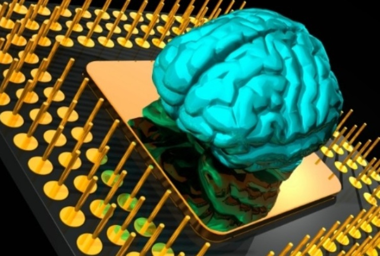 Il supercomputer del cervello formato dai dentriti
