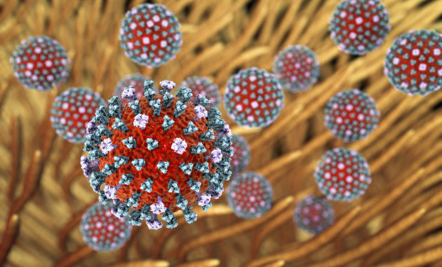 Illustrazione: il virus dell'influenza infetta il sistema respiratorio.|Shutterstock