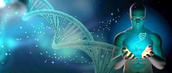 Il nostro DNA si adatta ai cambiamenti ambientali