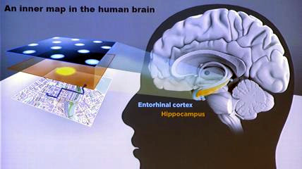 Mappe mentali cerebrali organizzano il nostro pensiero