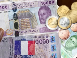 La Francia colonizzatrice economica dell'Africa