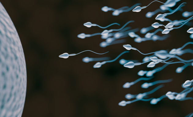 La cannabis ha effetti sull'espressione delle istruzioni geniche veicolate dagli spermatozoi: non si conoscono, per ora, le conseguenze sui figli.|Shutterstock