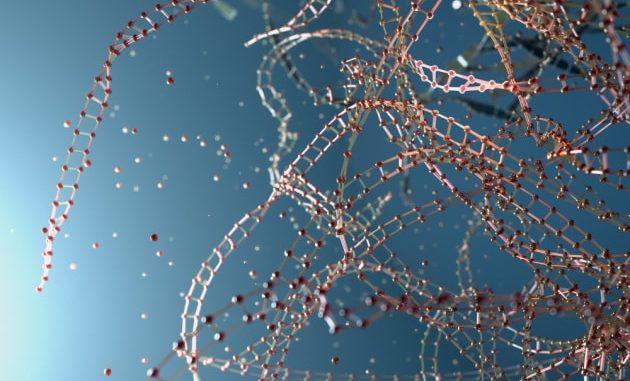Illustrazione: replicazione della struttura molecolare.|Photobank gallery / Shutterstock