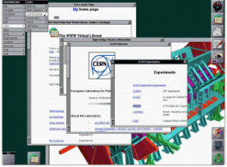 Questo screenshot del primo sito web è stata preso nel 1993 da un computer Next. Su altri sistemi la visualizzazione era molto più semplificata. Crediti: Cern