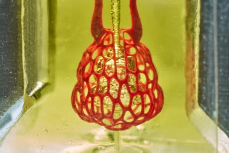 Modello prestampato di alveolo polmonare ottenuto con la nuova tecnica. (Cortesia Jordan Miller/Rice University)