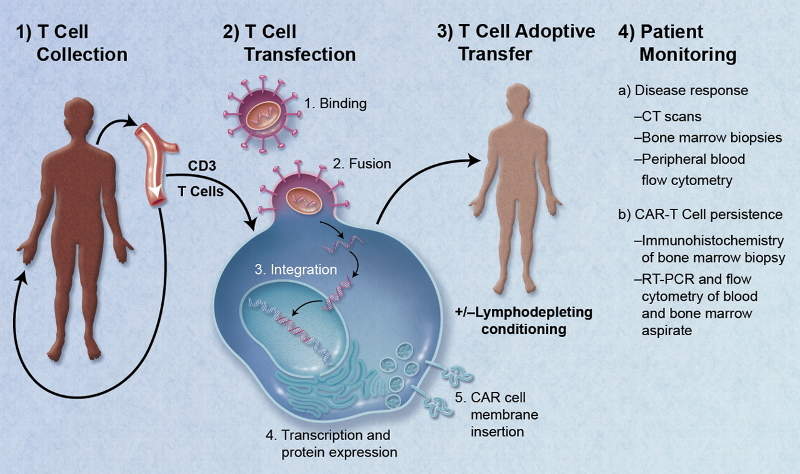Riprogrammare il DNA delle cellule per curare il cancro