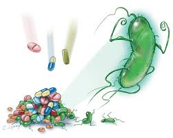 Dagli stessi batteri una molecola per nuovi antibiotici pi efficaci