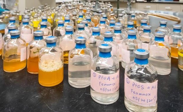 Le colture di batteri nelle quali, in laboratorio, i microrganismi hanno dimostrato di riuscire a degradare i Pfas e sostanze simili (fonte: David Kelly Crow)