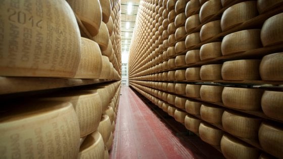 Dazi, Parmigiano verso rincaro da 40 a 45 dollari al chilo. La provocazione francese: "Tassiamo la Coca-Cola"