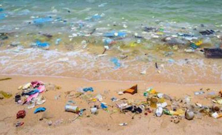 Le plastiche nel mediterraneo mettono a rischio la pesca