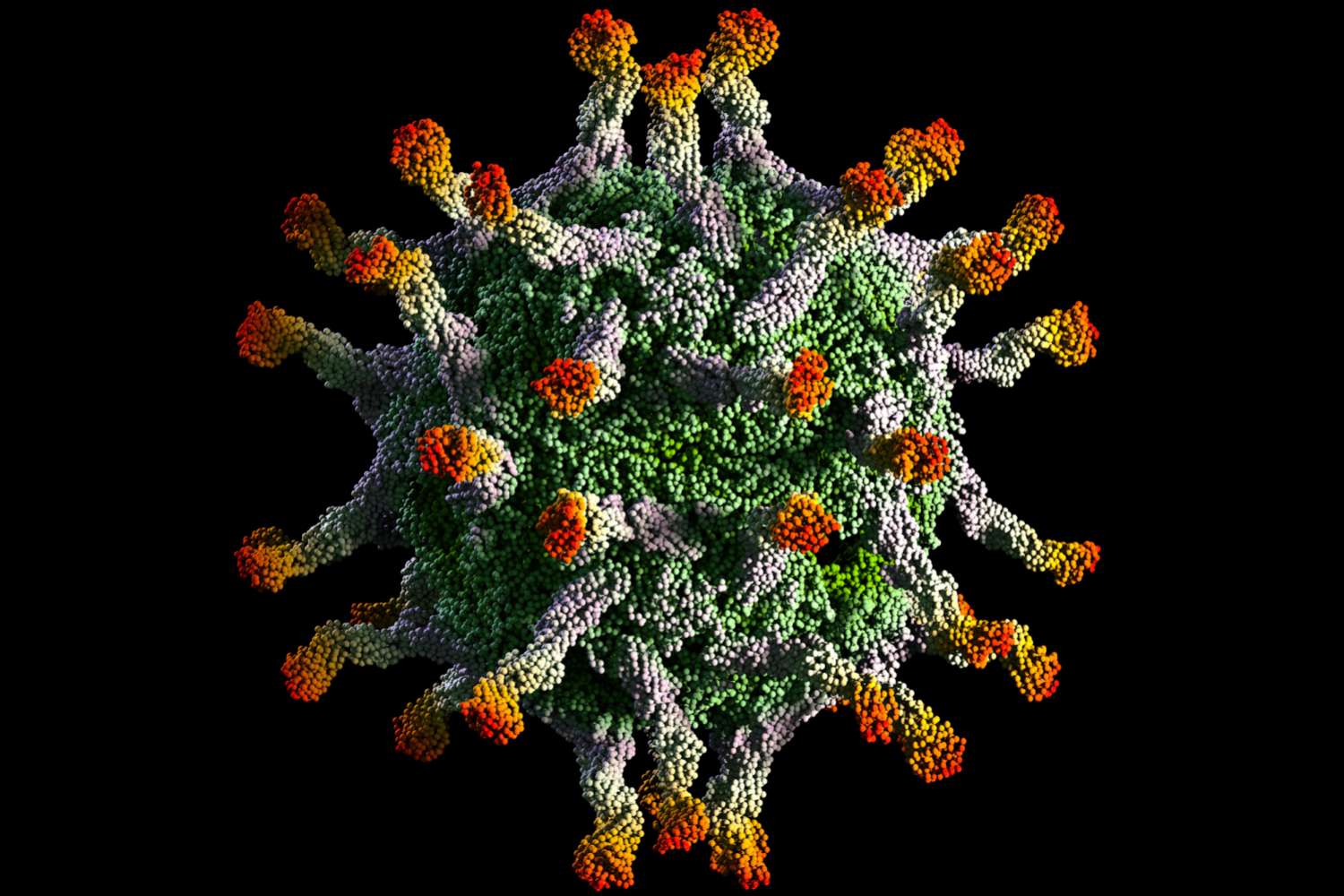 Con le vaccinazioni è stato eliminato il virus della poliomelite