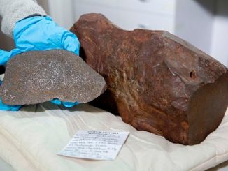Fossili di ghiaccio protoplanetario ritrovati in un meteorite