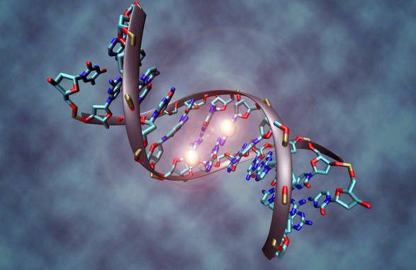 Il DNA modificato non protegge dall'HIV
