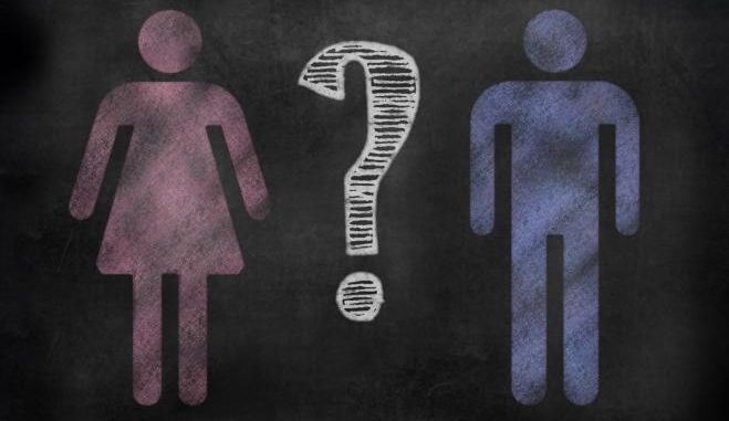 Identità di genere, teoria multisenso sulla disforia di genere