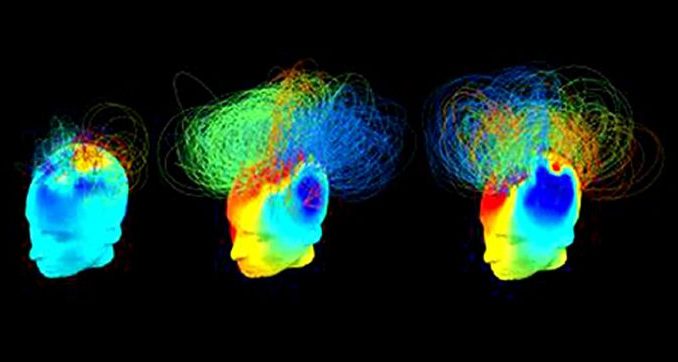 Origine della coscienza, la grande sfida tra neuroscienza e fisica quantistica.