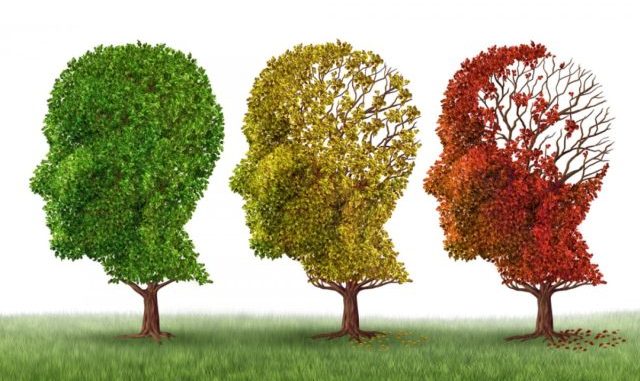 Vegani e vegetariani a rischio depressione ed Alzheimer Vegani e vegetariani a rischio depressione ed Alzheimer