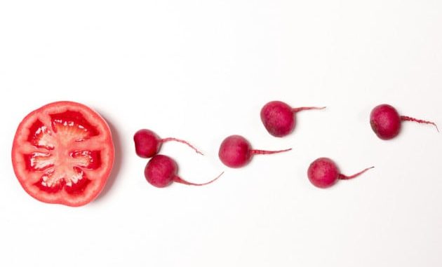 Secondo una ricerca svedese, la dieta influenzerebbe la qualità del seme maschile. | BEAUTY STUDIO | SHUTTERSTOCK