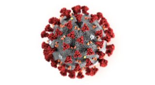Coronavirus Pipistrelli e Sars
