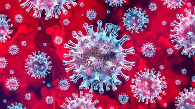 Virus misterioso con geni completamente nuovi