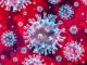 Virus misterioso con geni completamente nuovi