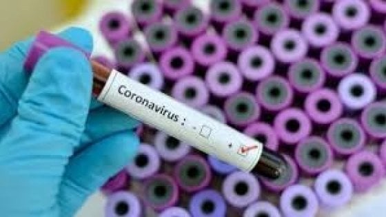 Un anticorpo inibisce la proteina "spike" del coronavirus