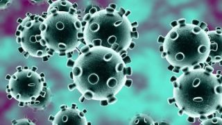 Coronavirus, in laboratorio sopravvive nell'aria fino a tre ore. Cosa fare negli ambienti chiusi