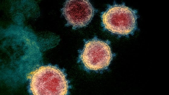 Coronavirus: 10 bufale smentite sul contagio