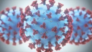 Perché il coronavirus infetta così facilmente le persone?